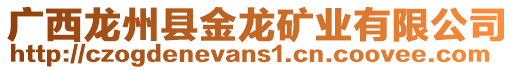 廣西龍州縣金龍礦業(yè)有限公司