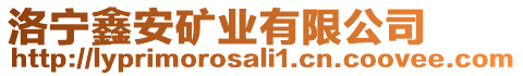 洛寧鑫安礦業(yè)有限公司