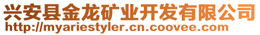 興安縣金龍礦業(yè)開發(fā)有限公司