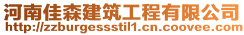 河南佳森建筑工程有限公司