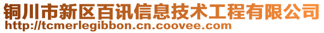 銅川市新區(qū)百訊信息技術(shù)工程有限公司