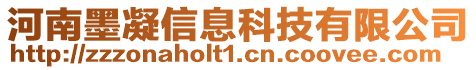 河南墨凝信息科技有限公司