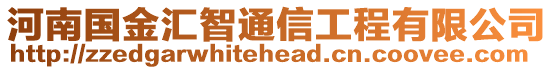 河南國金匯智通信工程有限公司