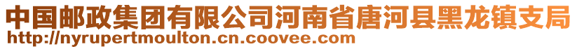 中國(guó)郵政集團(tuán)有限公司河南省唐河縣黑龍鎮(zhèn)支局