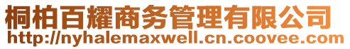 桐柏百耀商務管理有限公司