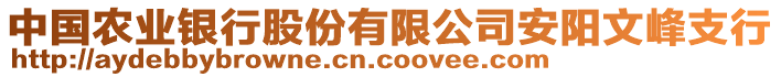 中國(guó)農(nóng)業(yè)銀行股份有限公司安陽(yáng)文峰支行