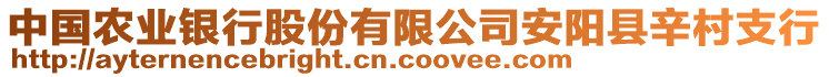 中國農(nóng)業(yè)銀行股份有限公司安陽縣辛村支行