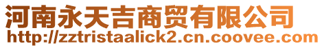 河南永天吉商貿有限公司