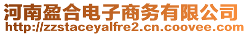 河南盈合電子商務(wù)有限公司