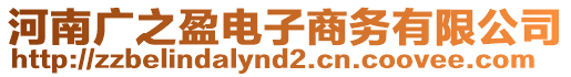 河南廣之盈電子商務有限公司