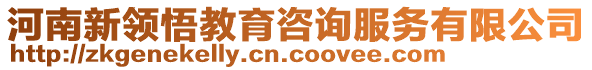 河南新領(lǐng)悟教育咨詢服務(wù)有限公司