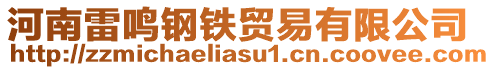 河南雷鸣钢铁贸易有限公司