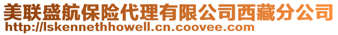 美聯(lián)盛航保險(xiǎn)代理有限公司西藏分公司