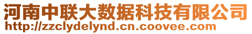 河南中聯(lián)大數(shù)據(jù)科技有限公司