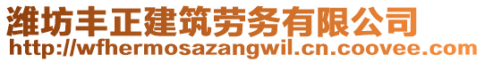 濰坊豐正建筑勞務(wù)有限公司