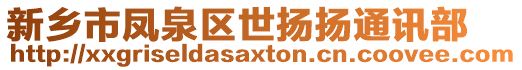 新鄉市鳳泉區世揚揚通訊部
