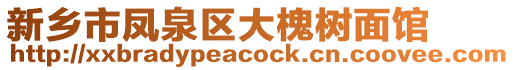 新鄉(xiāng)市鳳泉區(qū)大槐樹面館