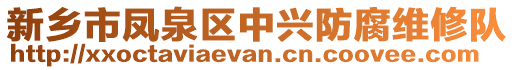 新鄉(xiāng)市鳳泉區(qū)中興防腐維修隊(duì)
