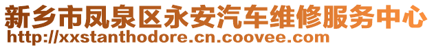 新鄉(xiāng)市鳳泉區(qū)永安汽車維修服務(wù)中心