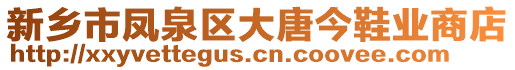 新鄉(xiāng)市鳳泉區(qū)大唐今鞋業(yè)商店