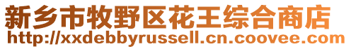 新鄉市牧野區花王綜合商店