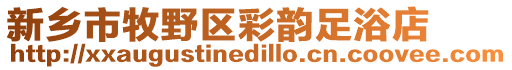 新鄉市牧野區彩韻足浴店