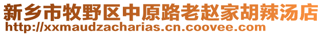 新鄉(xiāng)市牧野區(qū)中原路老趙家胡辣湯店