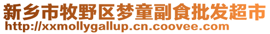 新鄉市牧野區夢童副食批發超市