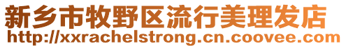 新鄉(xiāng)市牧野區(qū)流行美理發(fā)店