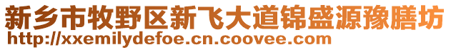 新鄉(xiāng)市牧野區(qū)新飛大道錦盛源豫膳坊