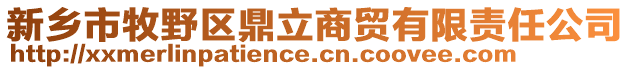 新鄉(xiāng)市牧野區(qū)鼎立商貿(mào)有限責任公司