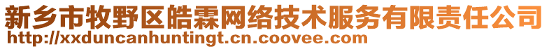 新鄉市牧野區皓霖網絡技術服務有限責任公司
