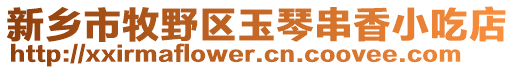 新鄉(xiāng)市牧野區(qū)玉琴串香小吃店