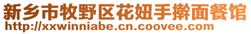 新鄉(xiāng)市牧野區(qū)花妞手搟面餐館