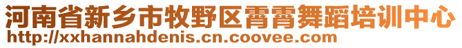 河南省新乡市牧野区霄霄舞蹈培训中心