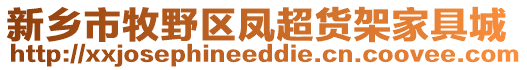 新乡市牧野区凤超货架家具城