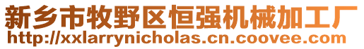 新鄉(xiāng)市牧野區(qū)恒強機械加工廠