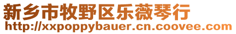 新鄉(xiāng)市牧野區(qū)樂薇琴行