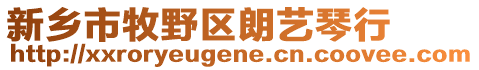 新鄉(xiāng)市牧野區(qū)朗藝琴行