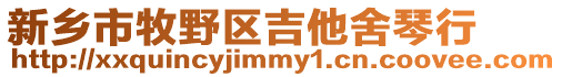 新鄉市牧野區吉他舍琴行