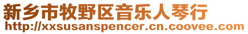 新鄉(xiāng)市牧野區(qū)音樂人琴行