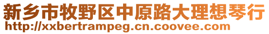 新鄉市牧野區中原路大理想琴行
