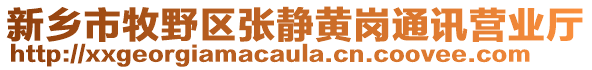 新鄉(xiāng)市牧野區(qū)張靜黃崗?fù)ㄓ崰I(yíng)業(yè)廳