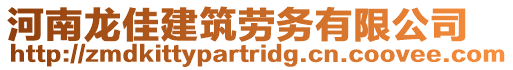 河南龍佳建筑勞務有限公司