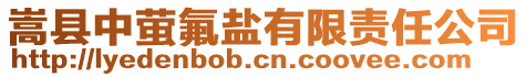 嵩縣中螢氟鹽有限責(zé)任公司