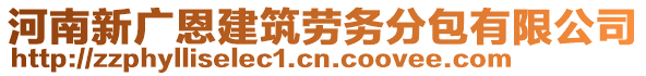 河南新廣恩建筑勞務分包有限公司