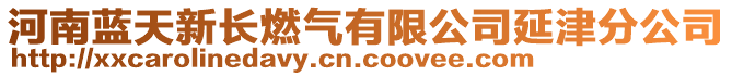 河南藍天新長燃氣有限公司延津分公司