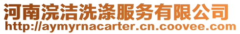 河南浣潔洗滌服務(wù)有限公司