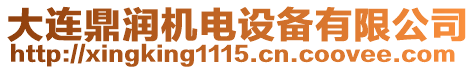 大連鼎潤機(jī)電設(shè)備有限公司