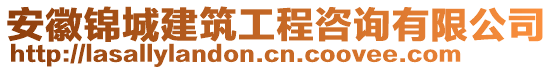 安徽錦城建筑工程咨詢(xún)有限公司